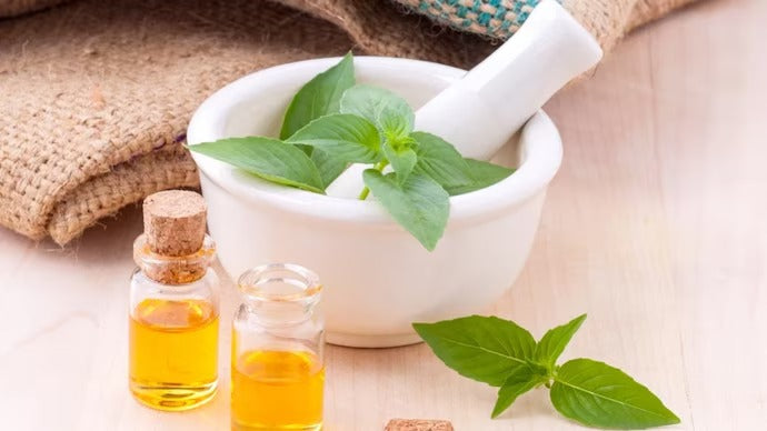 Managing Insulin Resistance Naturally: A Science-Backed Guide by PhytoEarth